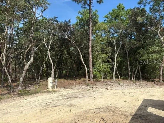 8454 SW 138TH TERRACE Dunnellon, FL 34432