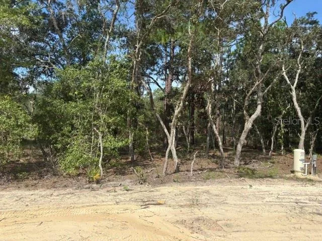 8454 SW 138TH TERRACE Dunnellon, FL 34432