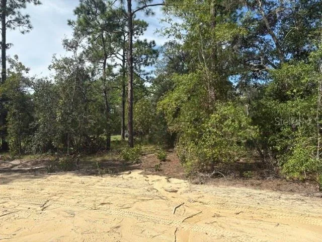 8454 SW 138TH TERRACE Dunnellon, FL 34432