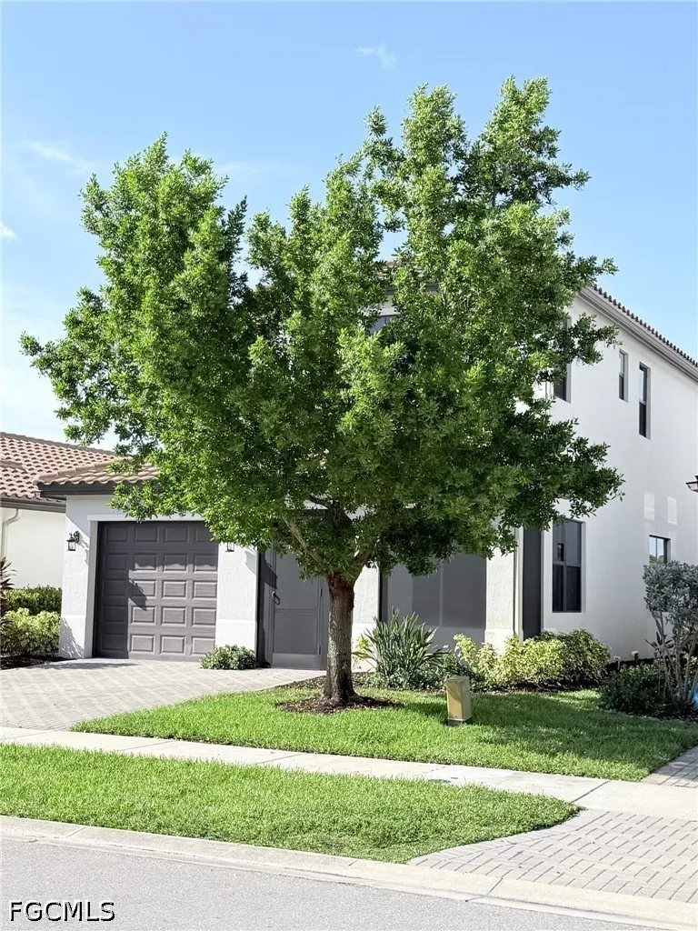 Soria Avenue Ave Maria, FL 34142