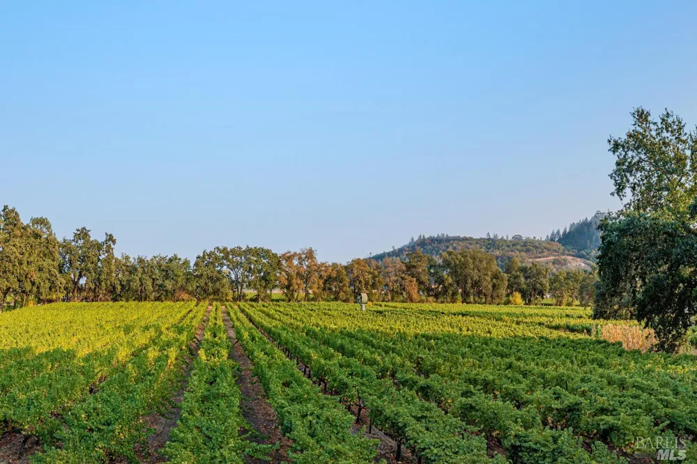 1105 Lodi Lane St. Helena, CA 94574