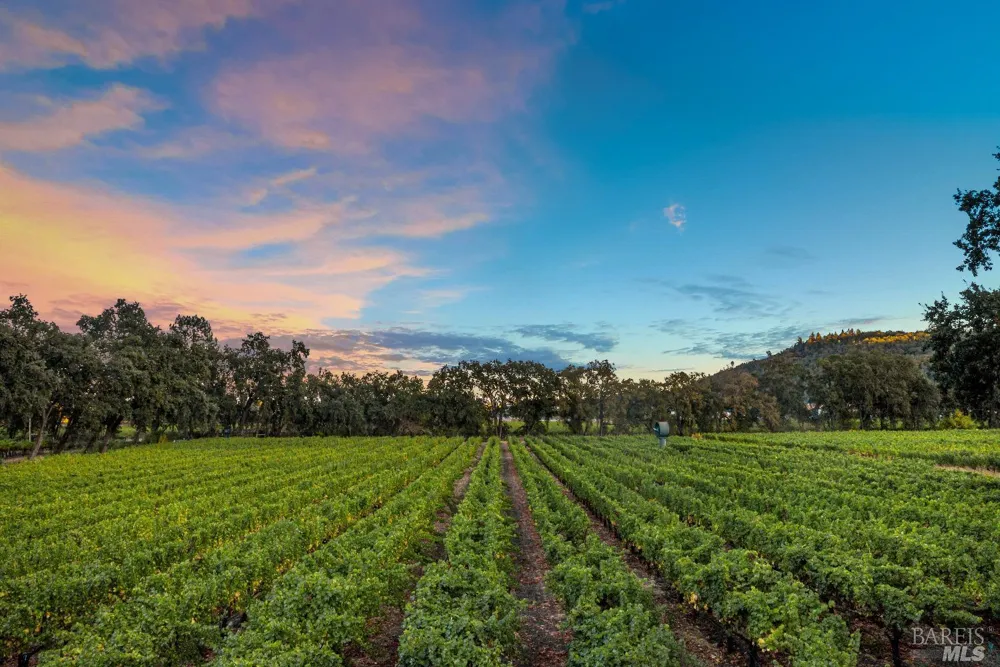 1105 Lodi Lane St. Helena, CA 94574
