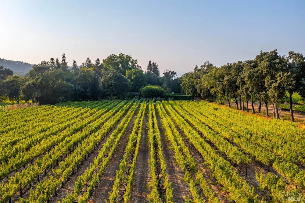 1105 Lodi Lane St. Helena, CA 94574
