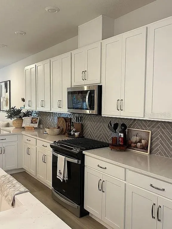 5936 GOLDEN NETTLE DRIVE Apollo Beach, FL 33572