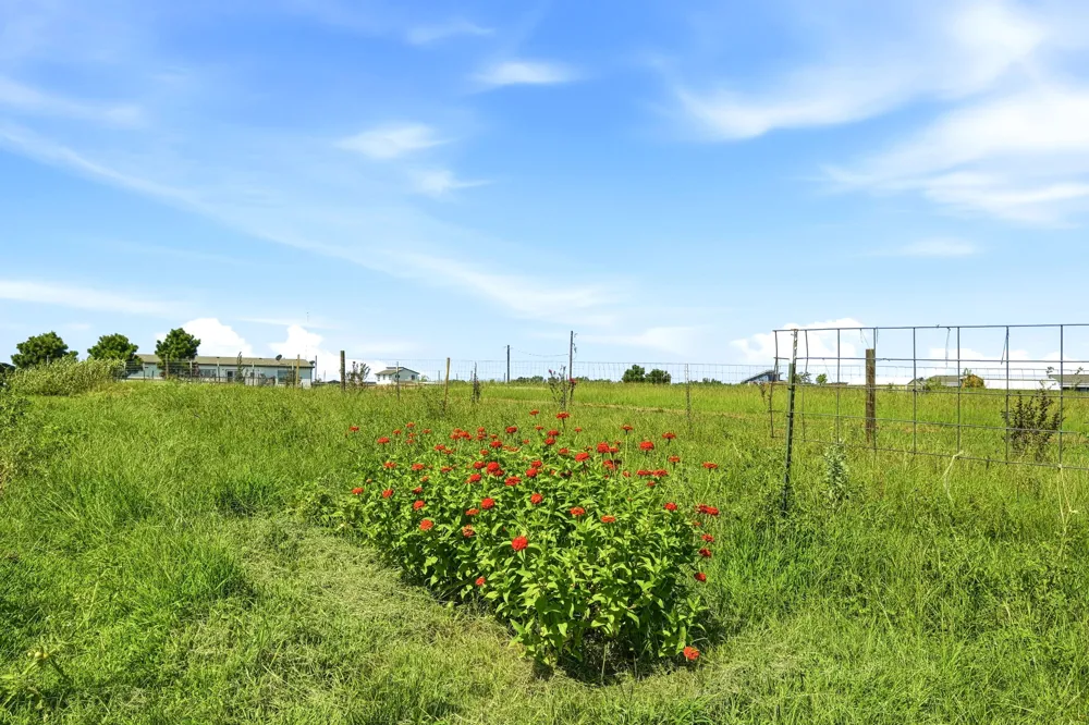 1951 County Road 475 Thrall, TX 76578