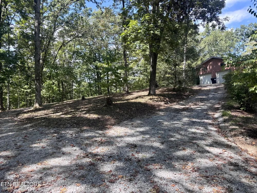 145 Scott Rd Harriman, TN 37748