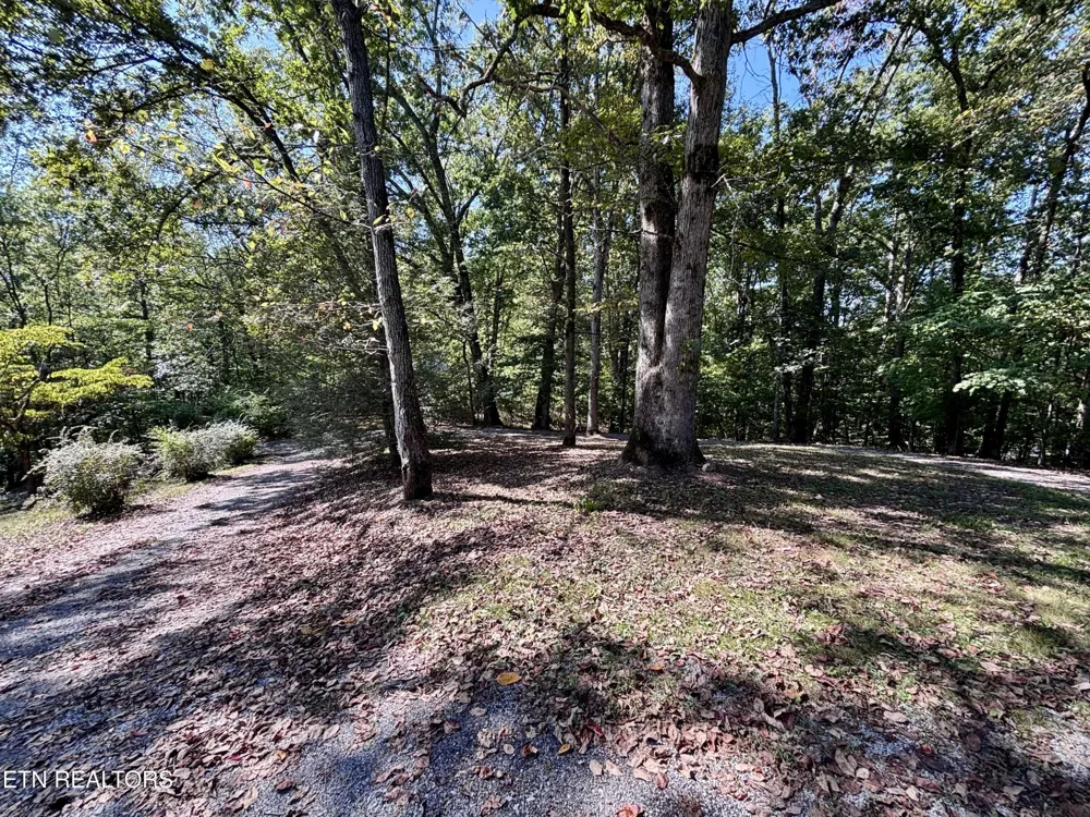 145 Scott Rd Harriman, TN 37748