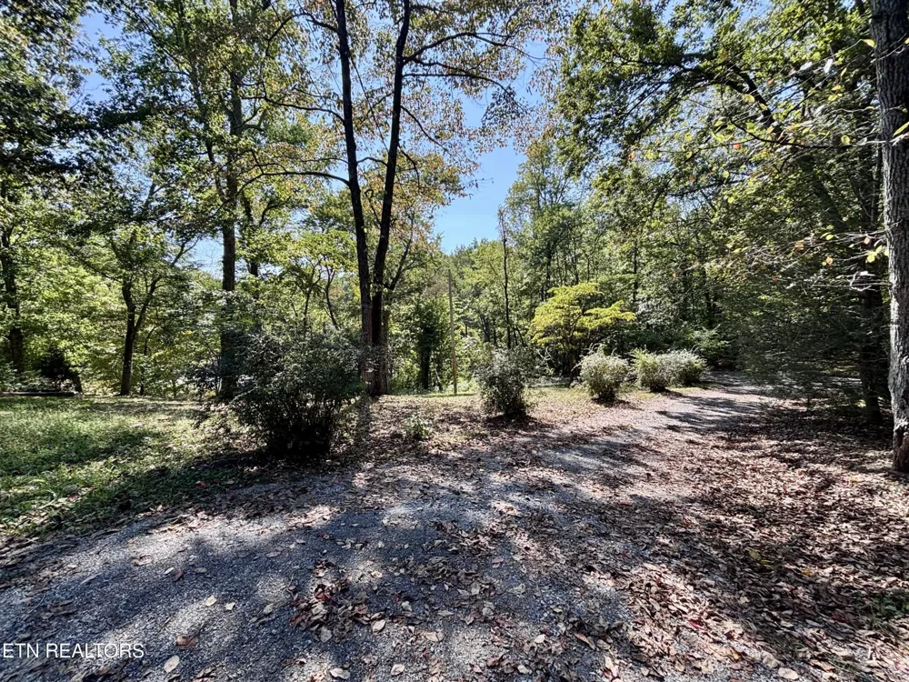 145 Scott Rd Harriman, TN 37748