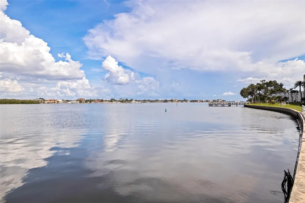 1847 SHORE DRIVE S #202 South Pasadena, FL 33707