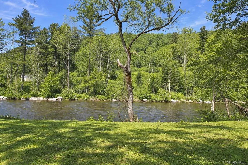 53 Yorktown Road Roscoe, NY 12776