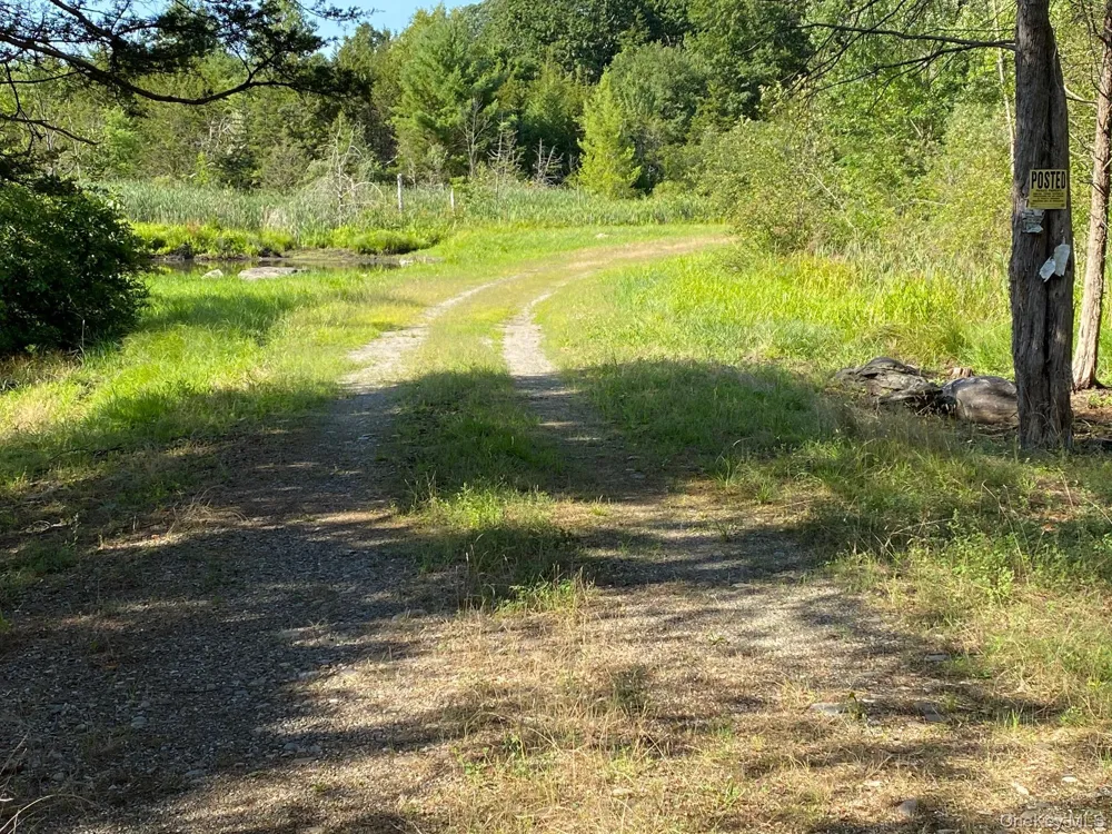 Jerry Wassaic, NY 12592