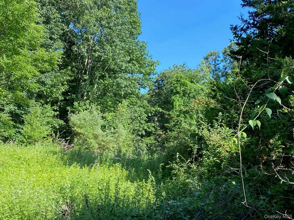 Jerry Wassaic, NY 12592