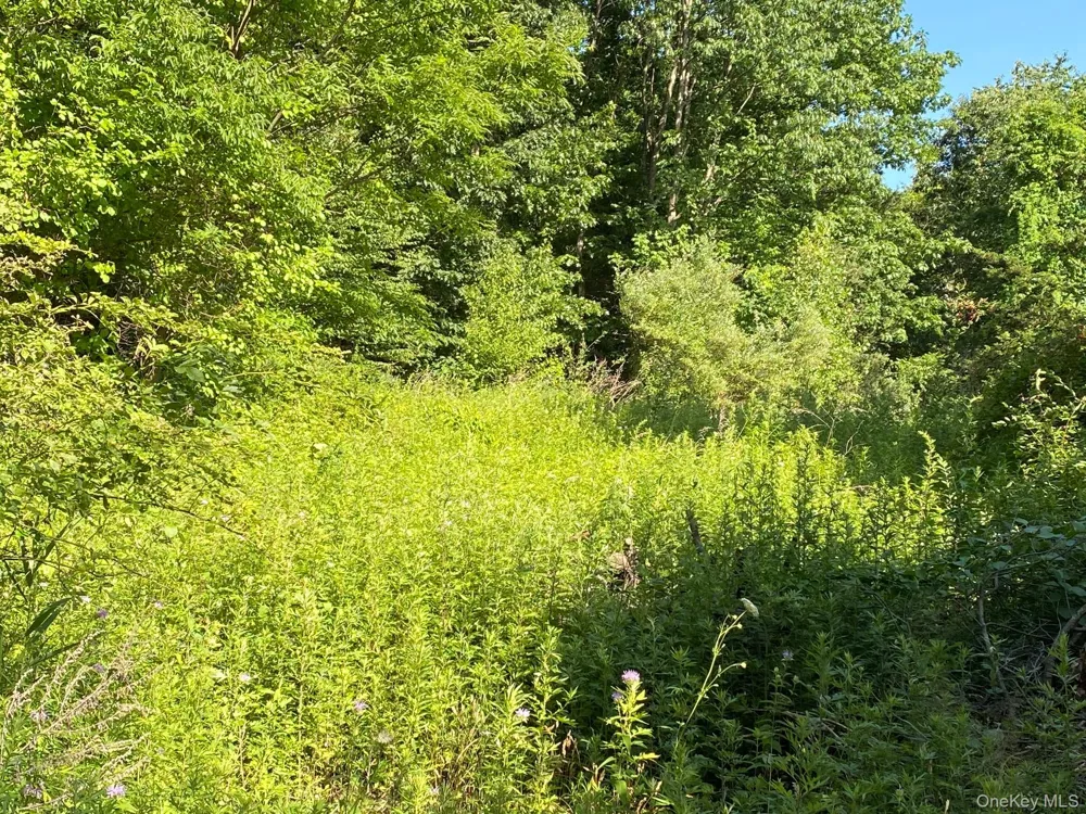 Jerry Wassaic, NY 12592