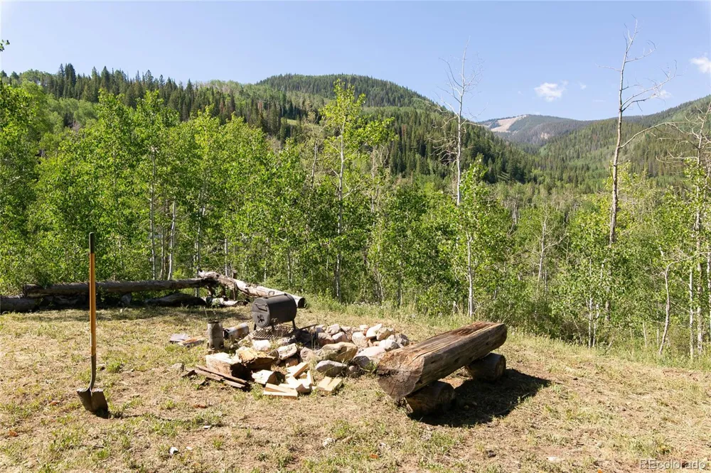 000 Lake View Drive Meredith, CO 81642