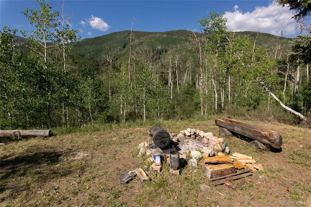 000 Lake View Drive Meredith, CO 81642