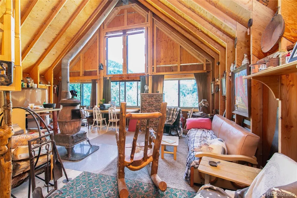 000 Lake View Drive Meredith, CO 81642