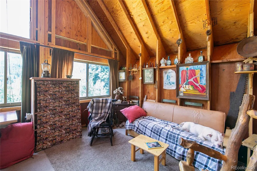 000 Lake View Drive Meredith, CO 81642