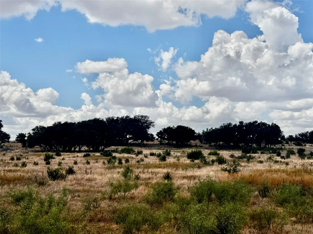 166 Private Road 2621 Blackwell, TX 79506