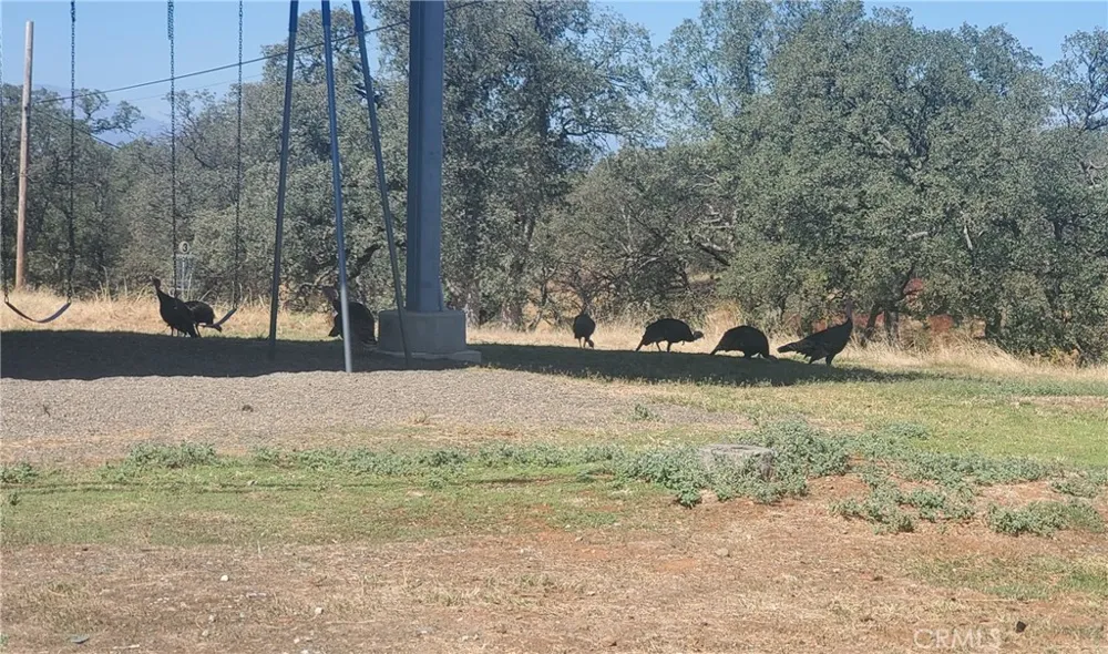 21857 Preston Cottonwood, CA 96022