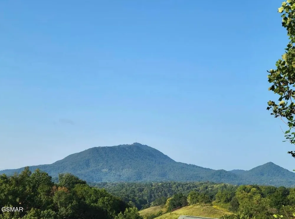 1091 Towering Oaks Drive Sevierville, TN 37876