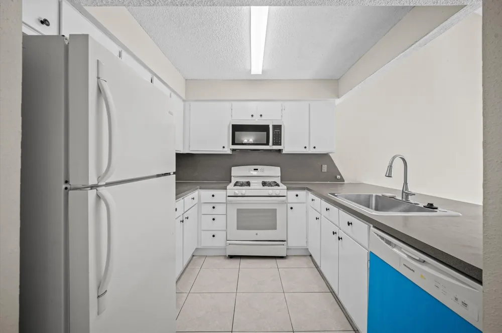 3256 Windchase Boulevard #513 Houston, TX 77082