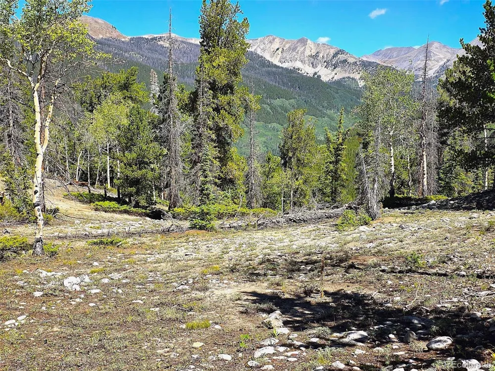 840 Forest Service Road 890 White Pine, CO 81248