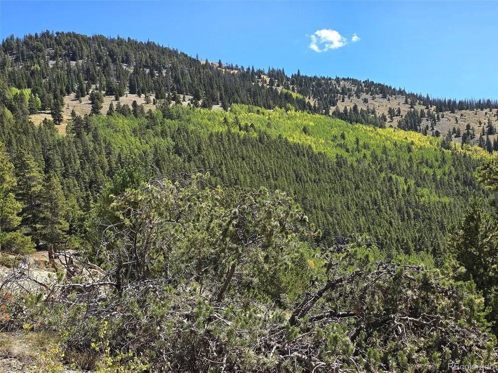 840 Forest Service Road 890 White Pine, CO 81248