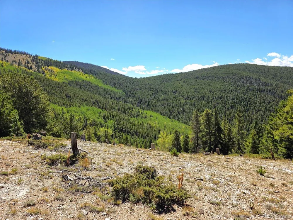 840 Forest Service Road 890 White Pine, CO 81248