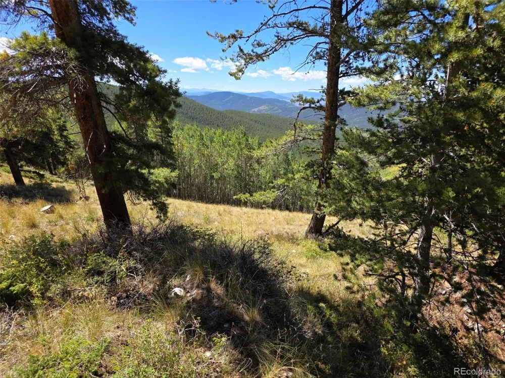 840 Forest Service Road 890 White Pine, CO 81248
