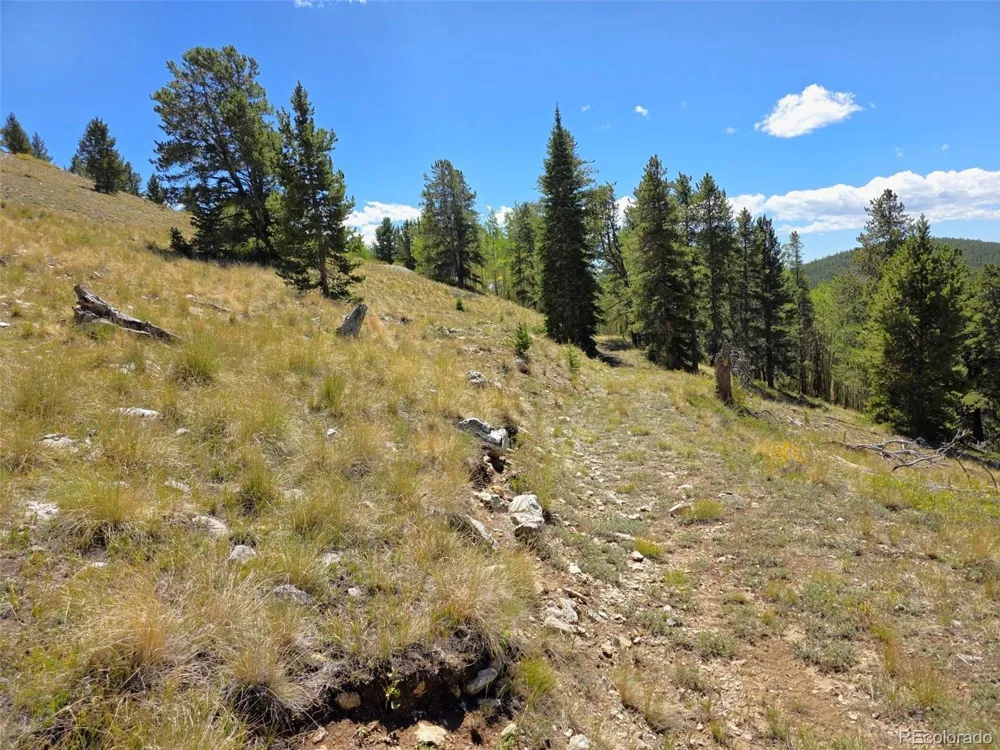 840 Forest Service Road 890 White Pine, CO 81248