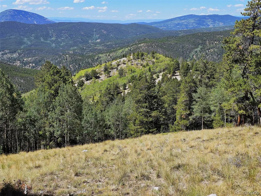 840 Forest Service Road 890 White Pine, CO 81248