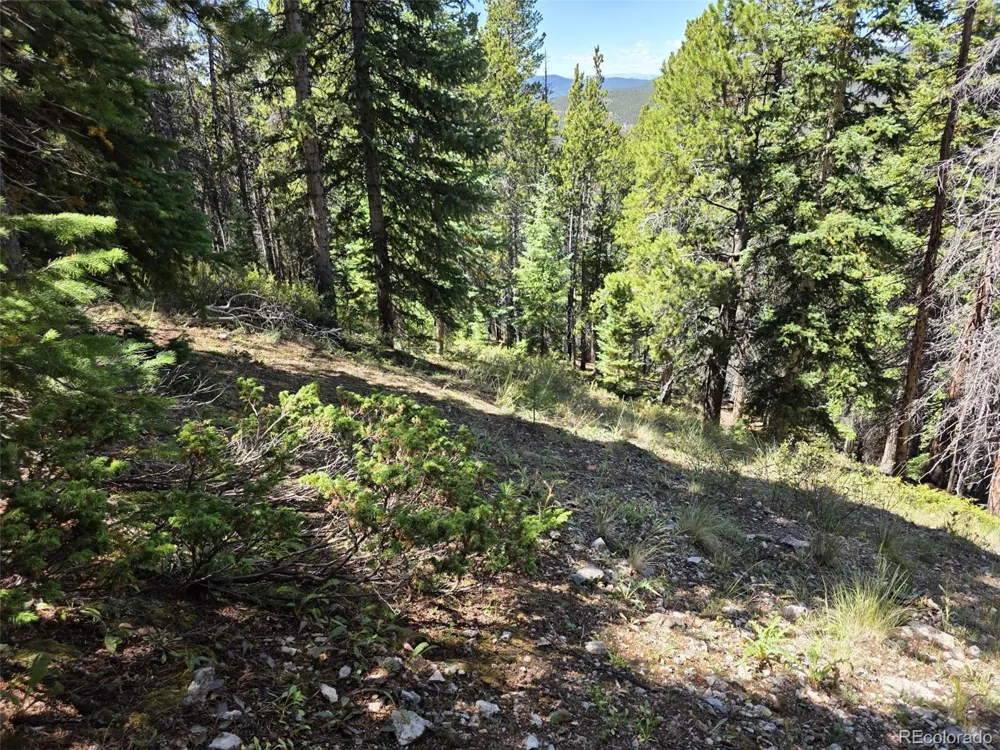 840 Forest Service Road 890 White Pine, CO 81248