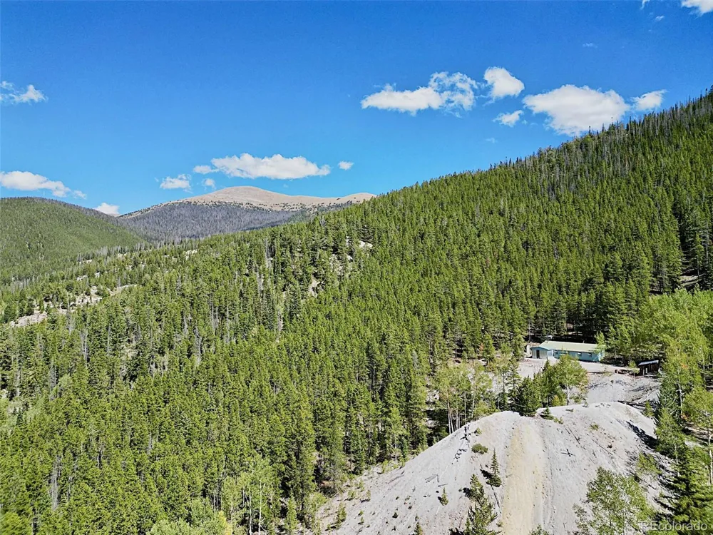 840 Forest Service Road 890 White Pine, CO 81248