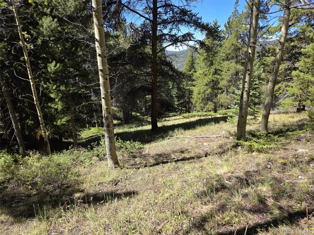 840 Forest Service Road 890 White Pine, CO 81248