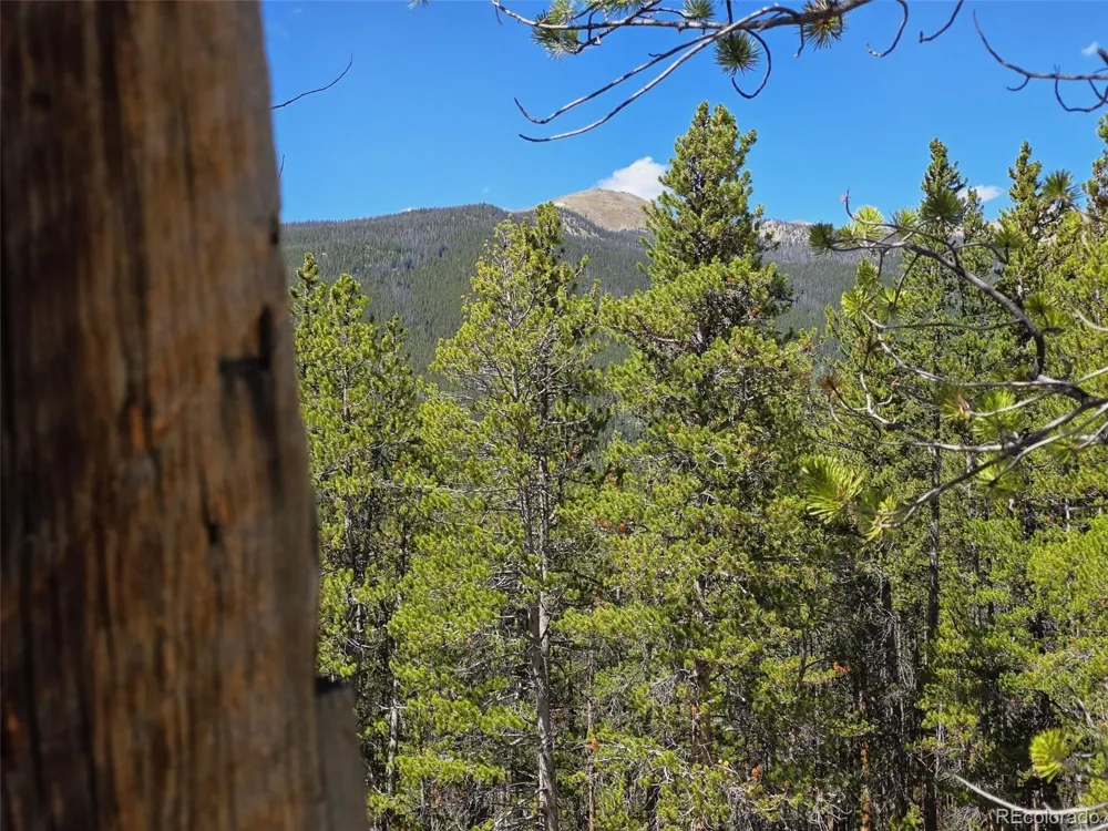840 Forest Service Road 890 White Pine, CO 81248