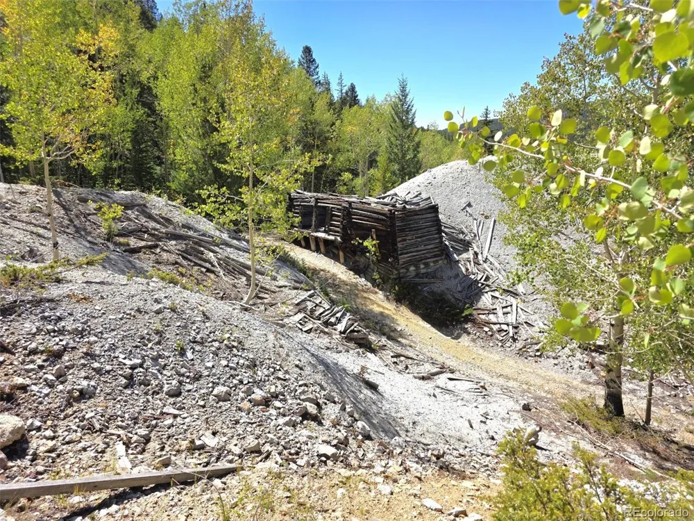 840 Forest Service Road 890 White Pine, CO 81248