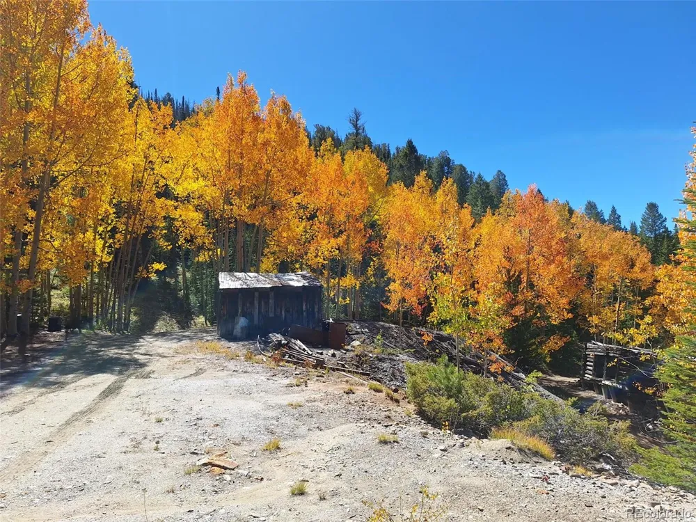 840 Forest Service Road 890 White Pine, CO 81248