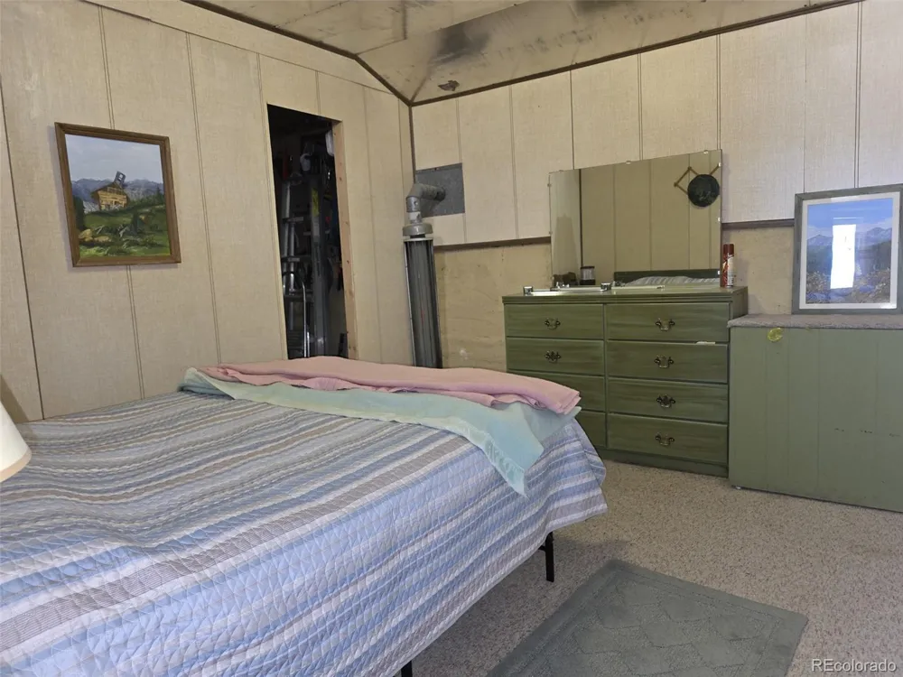 840 Forest Service Road 890 White Pine, CO 81248
