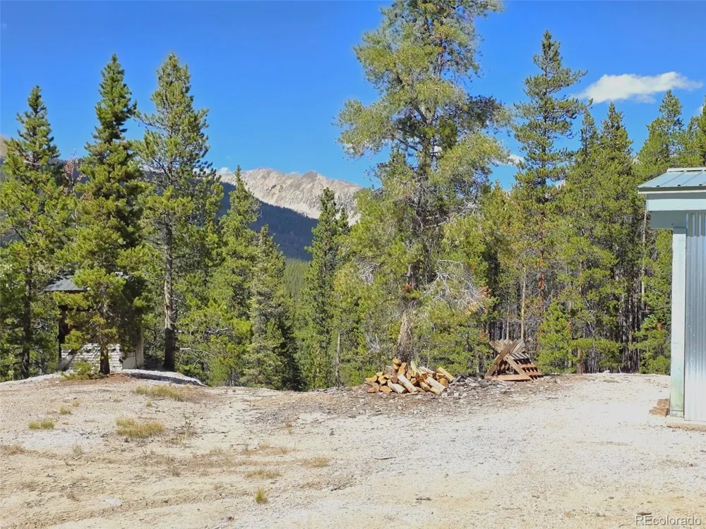 840 Forest Service Road 890 White Pine, CO 81248