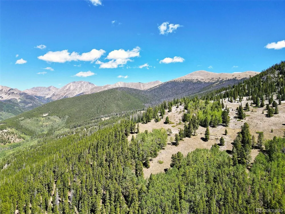 840 Forest Service Road 890 White Pine, CO 81248