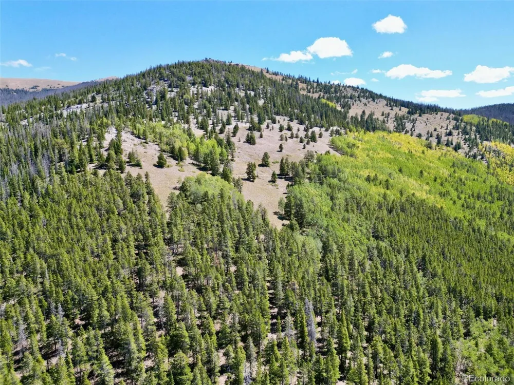 840 Forest Service Road 890 White Pine, CO 81248