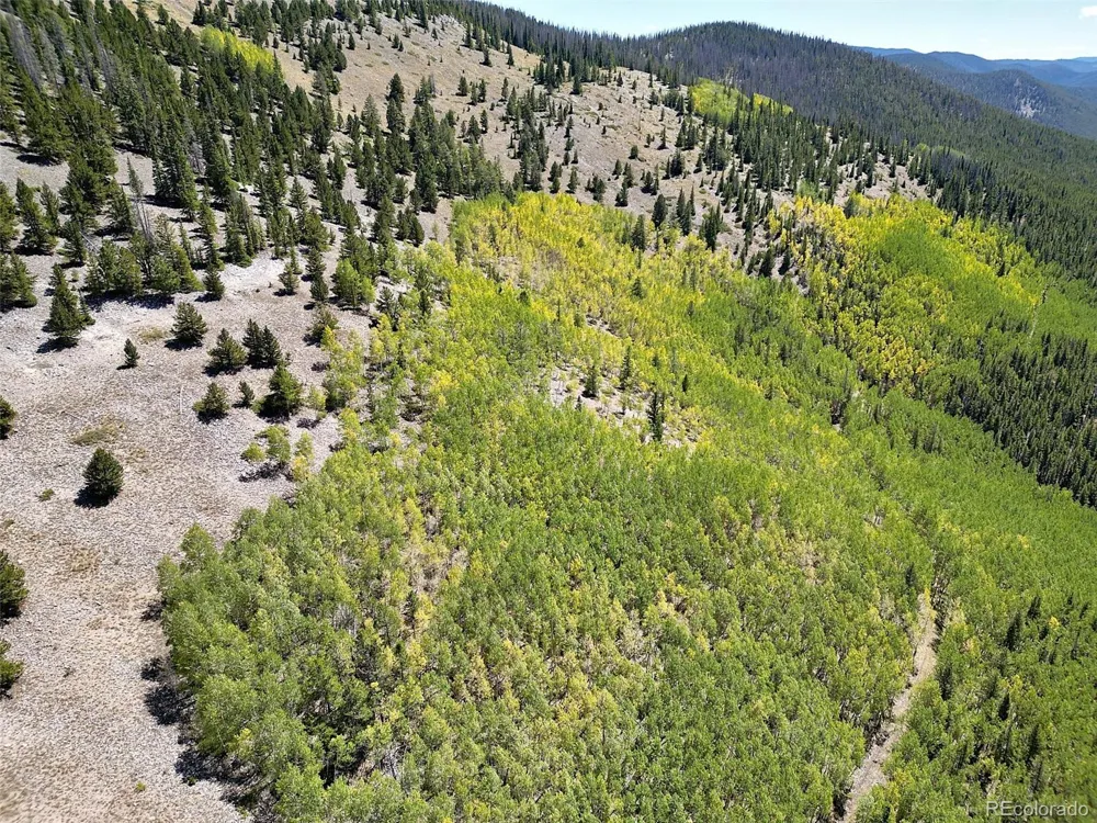 840 Forest Service Road 890 White Pine, CO 81248