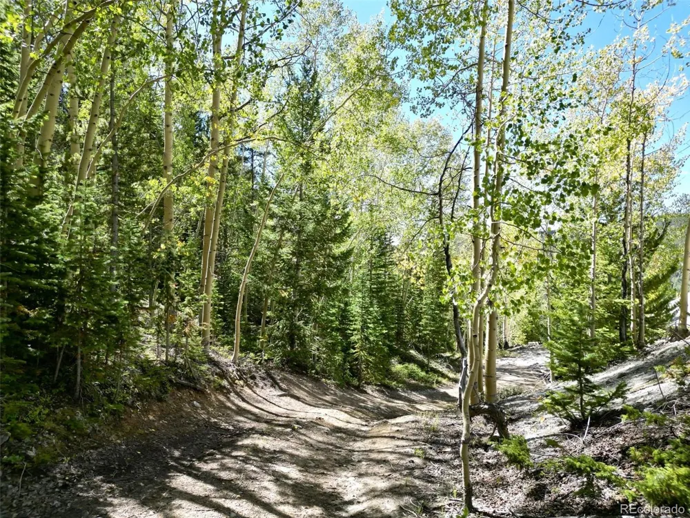 840 Forest Service Road 890 White Pine, CO 81248