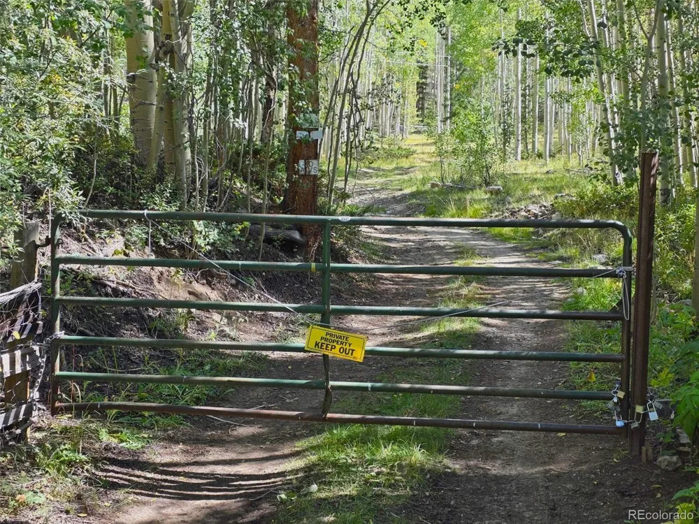 840 Forest Service Road 890 White Pine, CO 81248