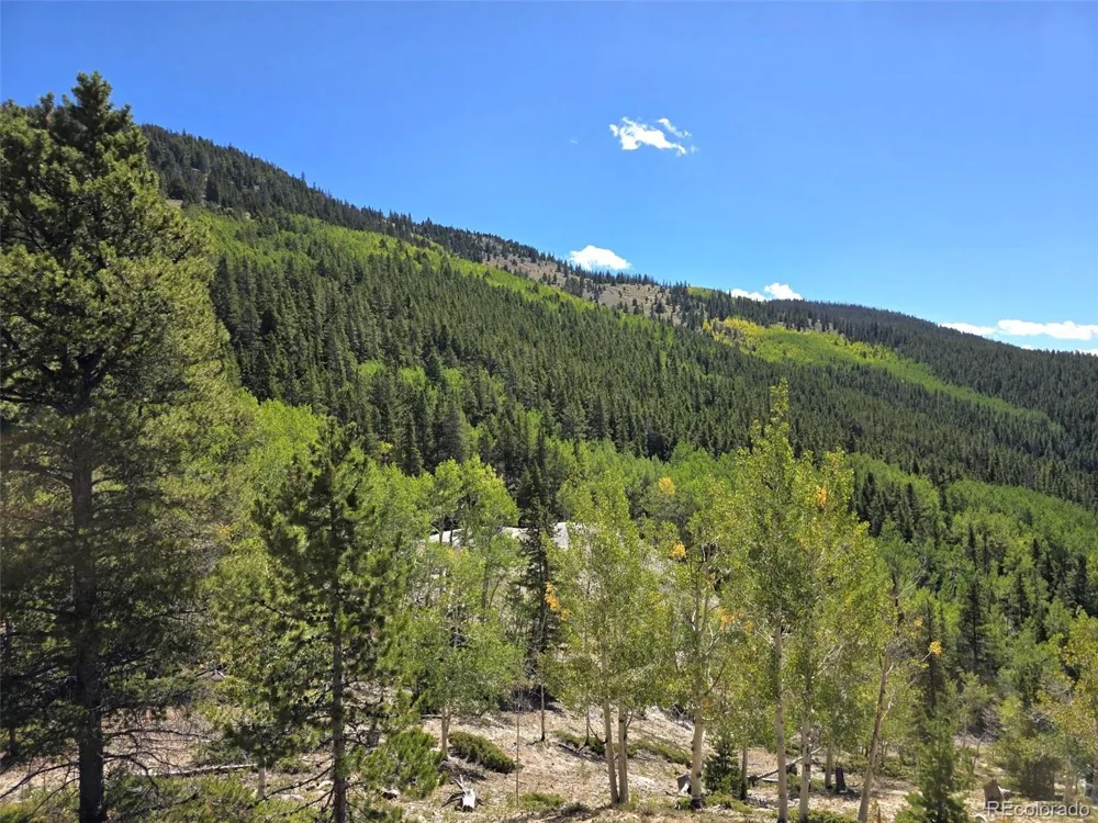 840 Forest Service Road 890 White Pine, CO 81248