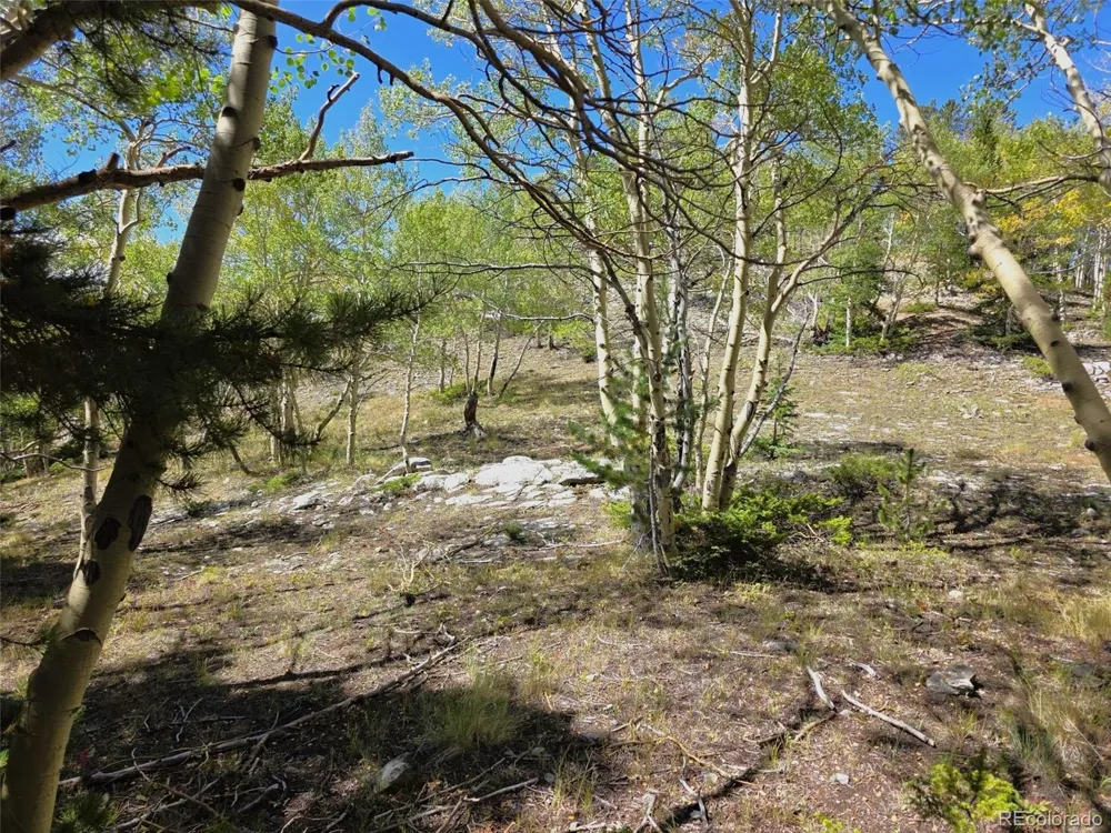 840 Forest Service Road 890 White Pine, CO 81248