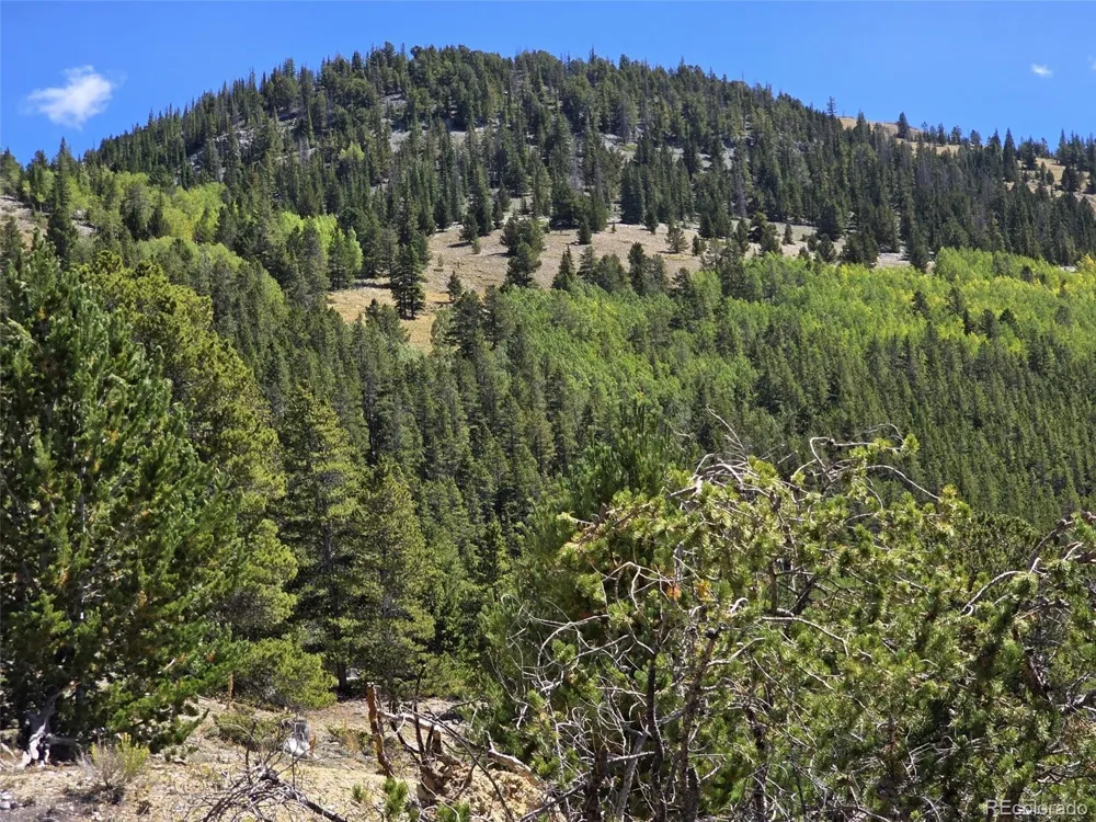 840 Forest Service Road 890 White Pine, CO 81248