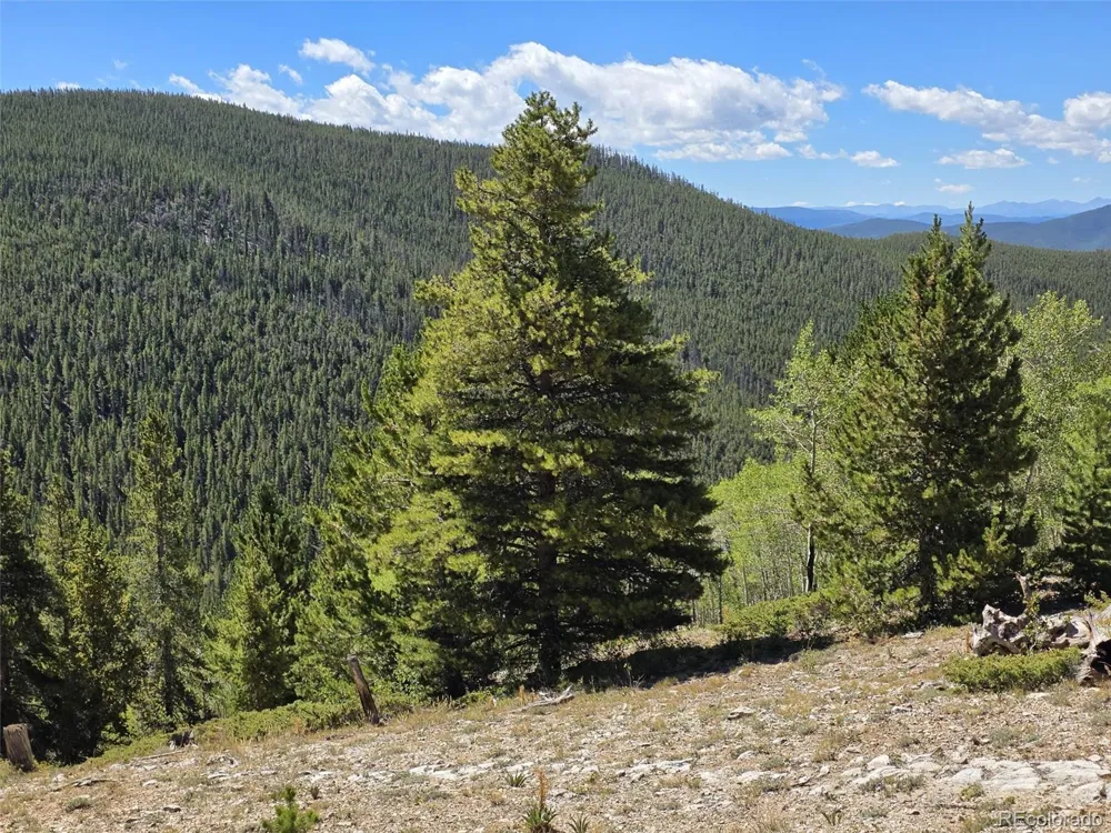 840 Forest Service Road 890 White Pine, CO 81248