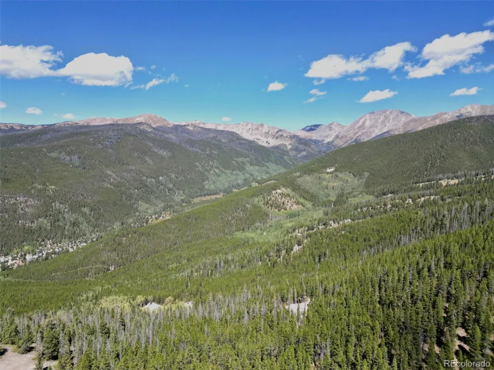 840 Forest Service Road 890 White Pine, CO 81248