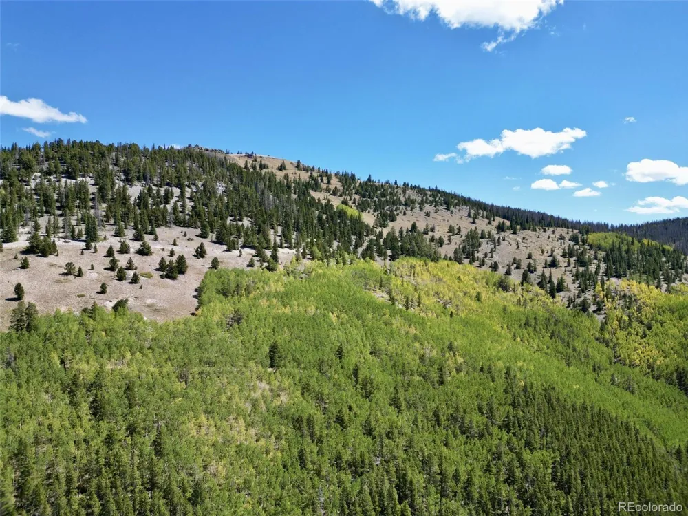 840 Forest Service Road 890 White Pine, CO 81248